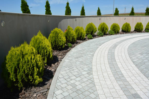 Best Driveway Pavers Cost  in Romeovle, IL